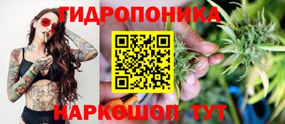 спиды Обь